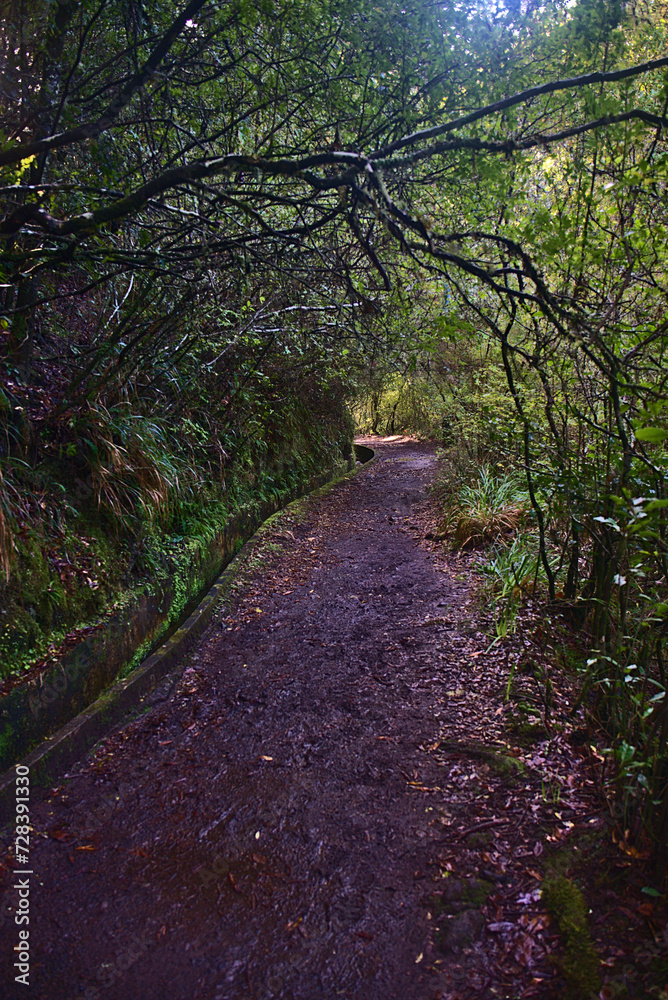 Madeira Island images - January 2024 Madeira Island images - January 2024