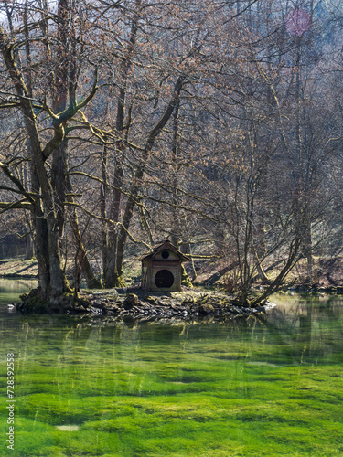 Wooden house for ducks on a lake in the national park of Bosnia and Herzegovina. Green algae visible through the clear water of a mountain lake. Copy space. Vertical. Bird watching concept