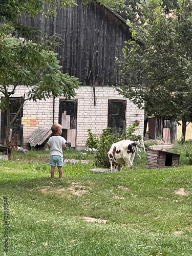 kid and calf