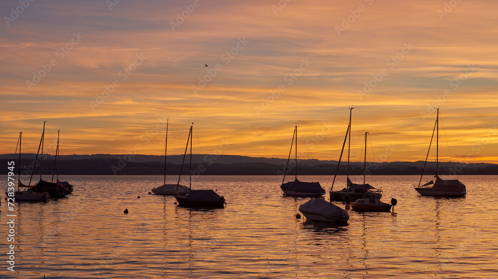 Bodensee Lake Sunrise Panorama. Morning Sunlight Over Tranquil Waters. Bodensee Lake Sunrise Panorama. Morning Sunlight Over Tranquil Waters.