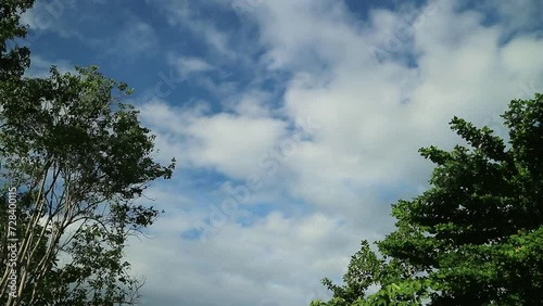 Timelapse of sky wtih clouds passing through trees