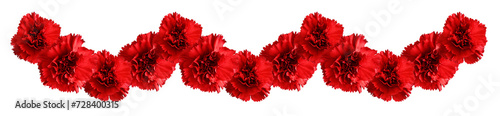 Red carnation flowers in a ...