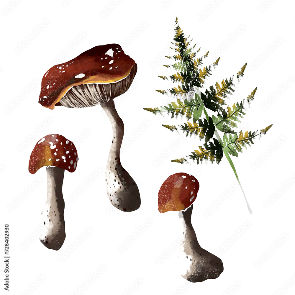 Mushroom set of vector illustrations isolated on black. White mushroom ...