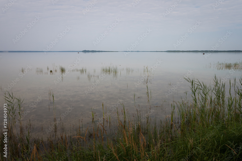 Gray morning on a picturesque lake. Clear, calm water and reeds in shallow water Gray morning on a picturesque lake. Clear, calm water and reeds in shallow water