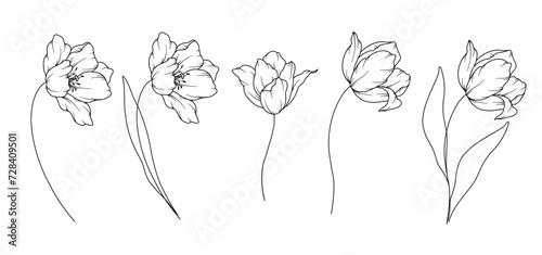 Tulips Line Drawing. Black and white Floral Bouquets. Flower Coloring Page. Floral Line Art. Fine Line Tulips illustration. Hand Drawn flowers. Botanical Coloring. Wedding invitation flowers