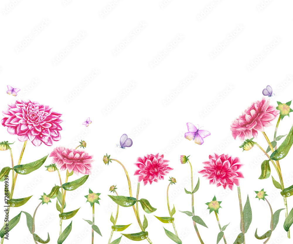 Pink dahlia flower hand drawn in watercolor. Dahlia flowers with green leaves and stems. For postcard design