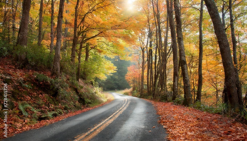 road in autumn forest fall country scenic