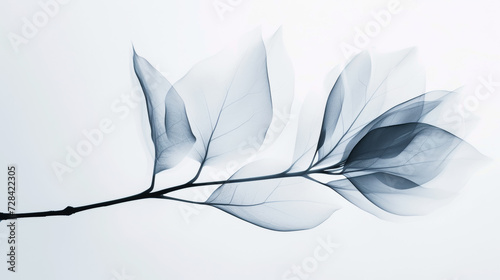 Aesthetic botanical x-ray of leaves. Harmonious forms. Minimalism concept. Light color palette. Generative AI