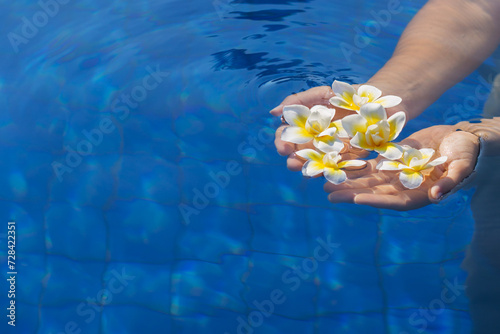 Female hands holding several frangipani flowers in water. White flowers on the background of the pool. Leisure, Travel & Spa Resort Concept