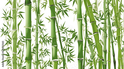 Green bamboo on a white background. The bamboo is tall and slender, with long, green leaves. The leaves are arranged in a staggered pattern