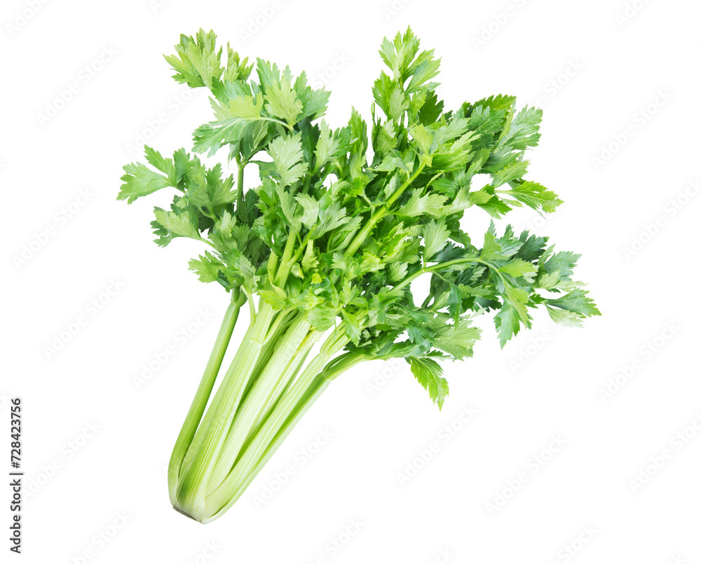 Freshly picked whole celery head, isolated on white background. Freshly picked whole celery head, isolated on white background.