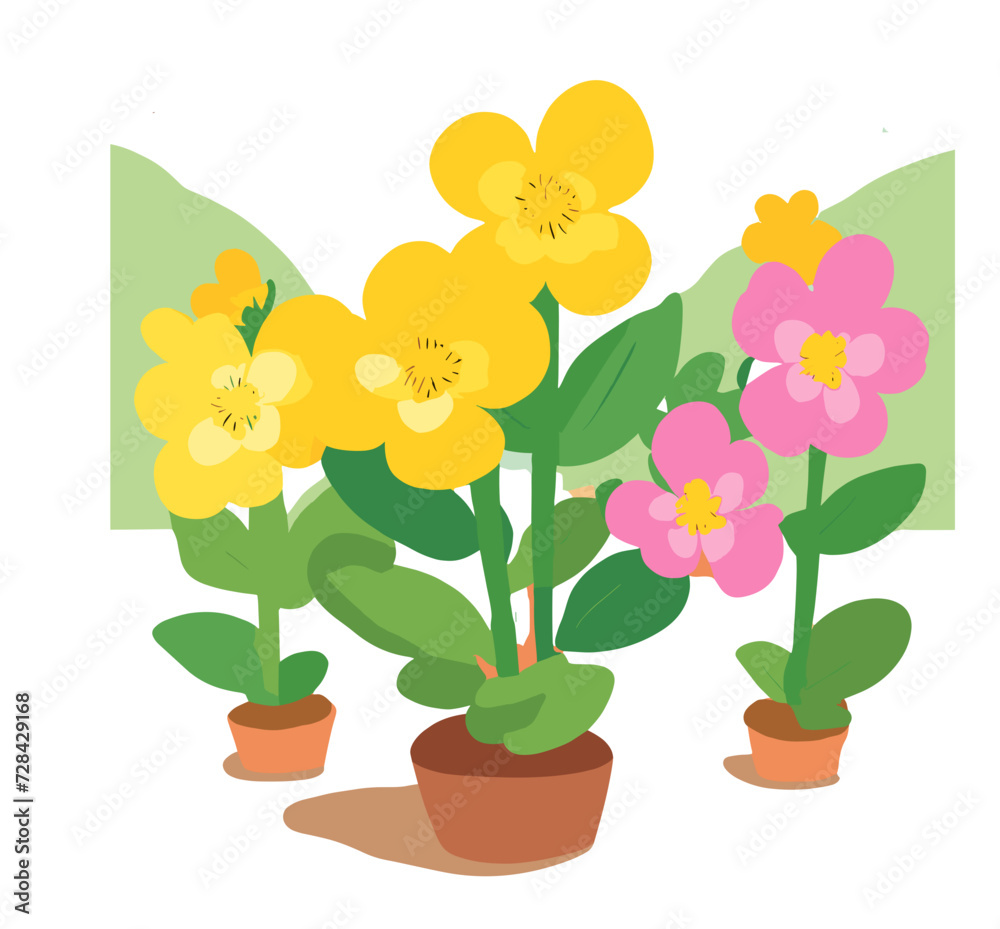 yellow orchid flower yellow orchid flower