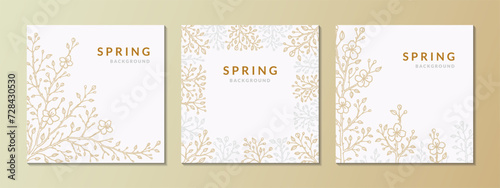 Set of square spring backgrounds with golden and silver sakura branches in bloom. Elegant greeting card, wedding invitation, social media post template, obituary, condolence photo