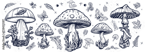 Mushrooms. Old school tattoo style. Black and white vector collection. Autumn forest, fly agaric, mushroom grebes, boletus