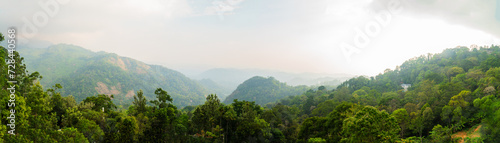 Photography Munnar, Kerala