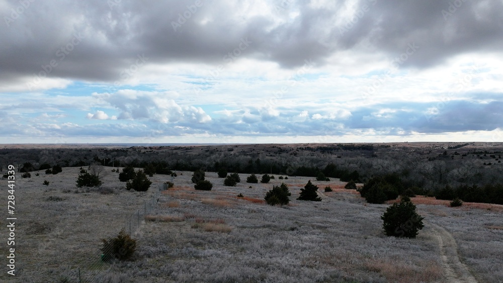 Cloudy day paints the backdrop for a field with small bushes and trees Cloudy day paints the backdrop for a field with small bushes and trees