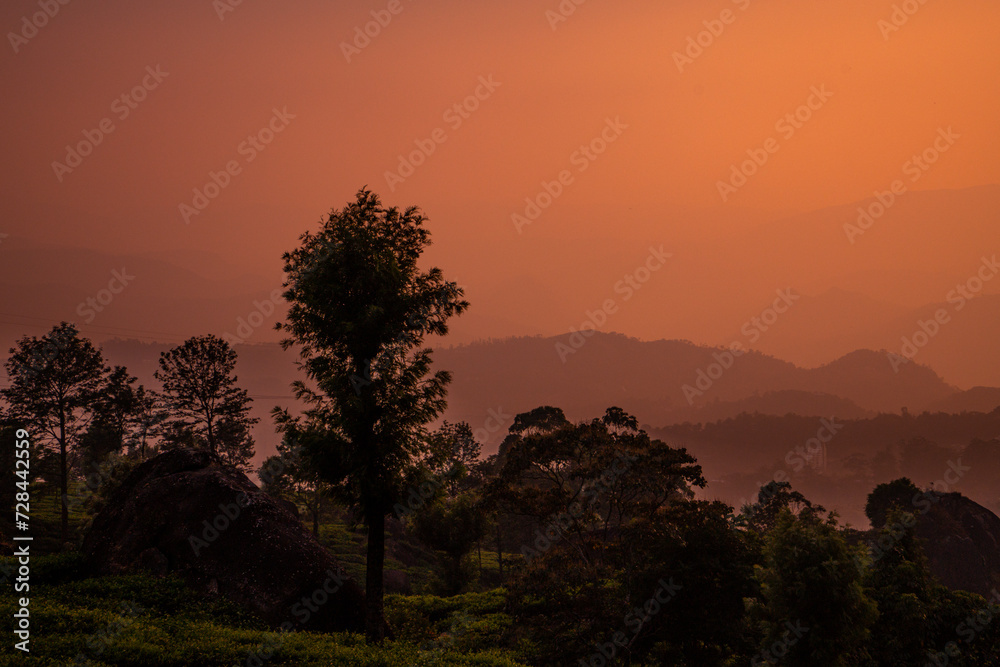 Misty Landscape During Sunset in Munnar Kerala