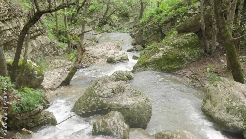 Caucasus, North Ossetia. Midagrabin gorge. Stream in a mountain forest. Caucasus, North Ossetia. Midagrabin gorge. Stream in a mountain forest.