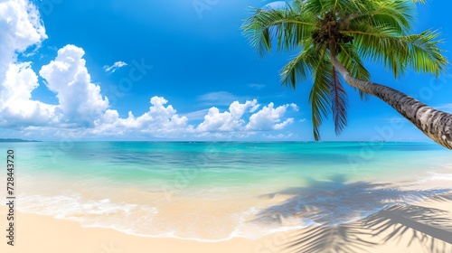 Coconut tree on Tropical beach during a sunny day, palm tree. summertime, coastline sandy beach view. copy space, mockup.