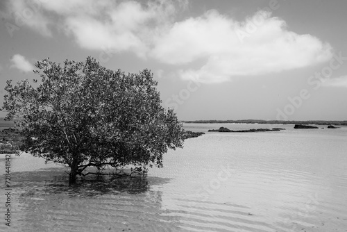 maputo, ilha de inhaca beacj nr2 