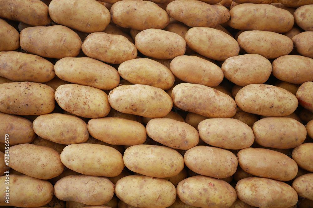 Close up of slice of raw potato selling super shop Close up of slice of raw potato selling super shop