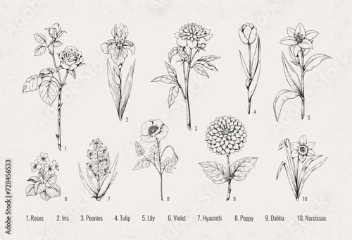 Black flowers. Floral rose, violet and iris in old retro victorian, classic spring tulip and poppy. Beautiful peony, lily and dahlia. Hand drawn plant. Hyacinth and narcissus vector wallpaper set