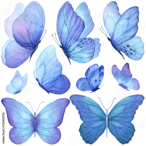 Butterfly watercolor blue color watercolour poster print painting art room decor wall design abstract inspiration sketch nature inspired summer spring wedding vibe insect wings fly flying cian color