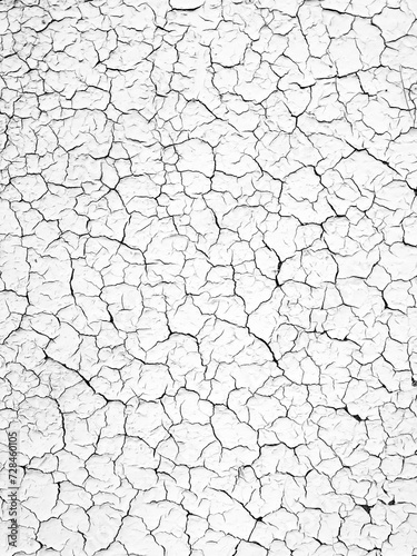 Natural background of cracked earth, soil. Texture of white patterns, rough wall with cracks and scratches, grunge background Dry season. Vertical photo with copy space