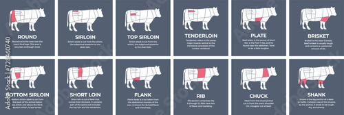 Guide cutting meat carcass beef, cow, turkey, lamb, pork, chicken. Butcher guide. Diagrams сutting parts meat carcass domestic farm poultry and farm livestock. Vector flat color illustration isolated.