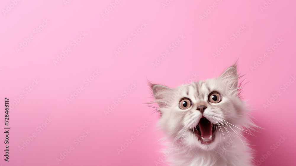 Top view of a meowing cat with an open mouth on a pink background. Free space for product placement or advertising text.