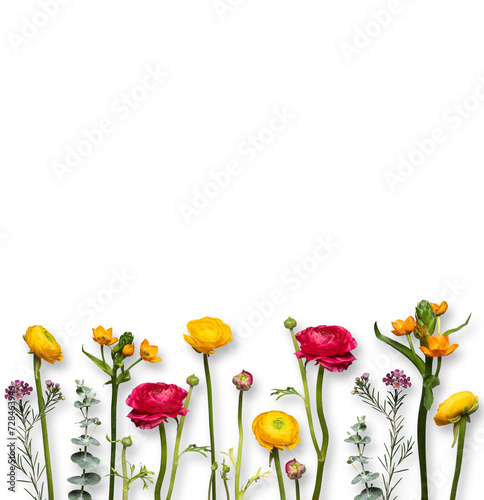 bunte, gelbe und rote farbenfrohe, fröhliche Blumen nebeneinander in einer Reihe freigestellt vor transparent Hintergrund. Platz für Text und copy space