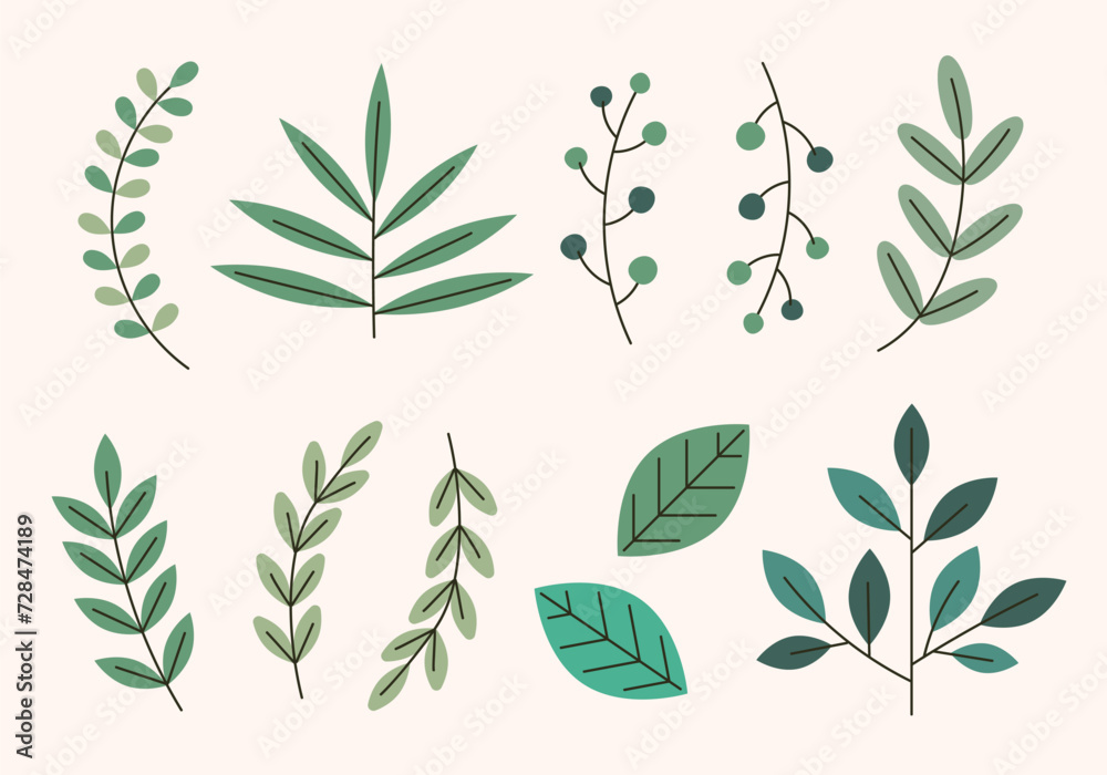 set of green leaves. Vector illustration of plants and leaves in hand-drawn style suitable for flowers or decorations. Illustration of plants in abstract form