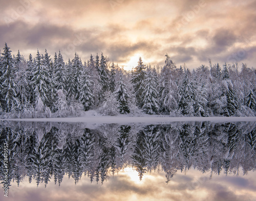 Winter forest reflection © Christian
