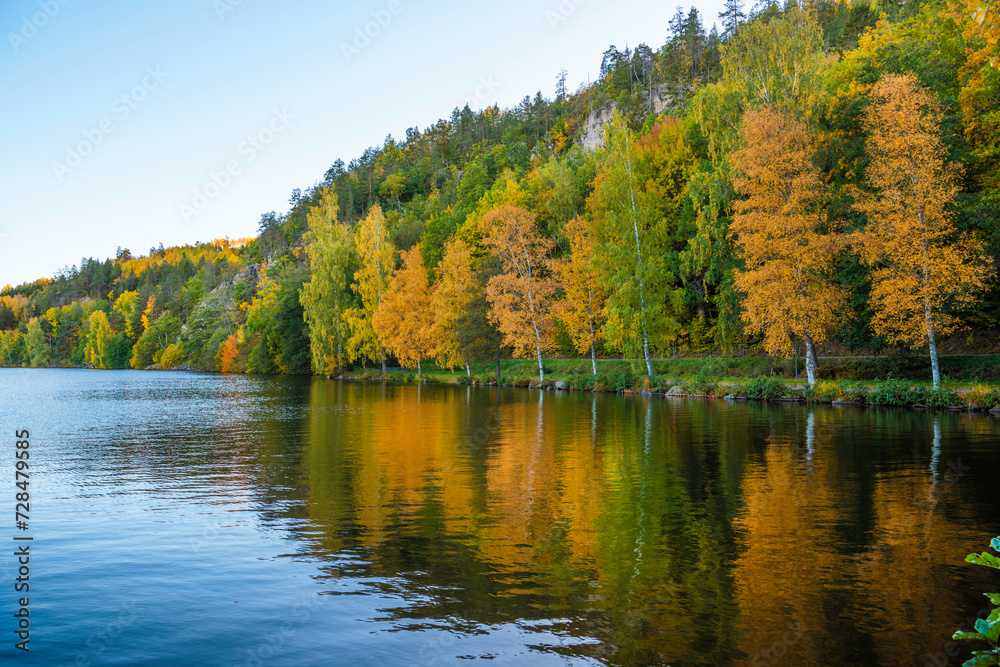 Autumn colors by a lake
