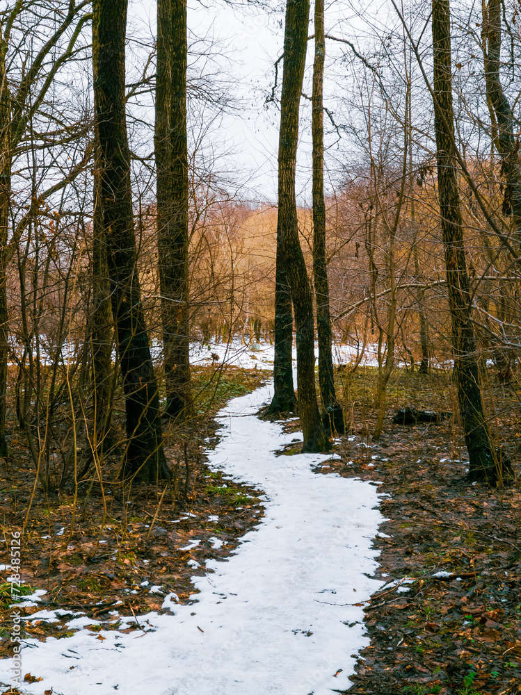 Snowy trail through the forest. End of winter in the forest, melting snow. Nature in early spring. Snowy trail through the forest. End of winter in the forest, melting snow. Nature in early spring.