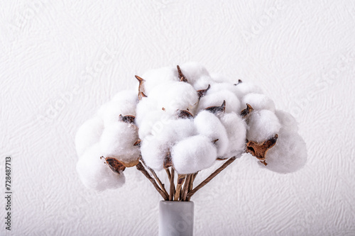 The bouquet of cotton branches in a white vase on white background.