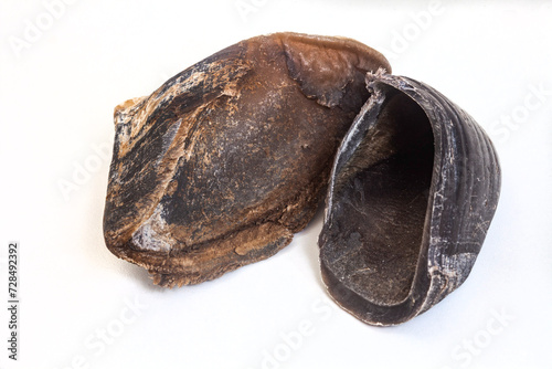 Konstfotografi animal hoof chews for dogs on plain white background