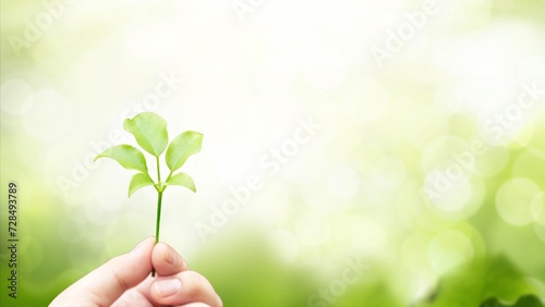 Green Life in Hands. Nature Growth and Environmental Care Concept. A bright and natural background with Glittering green particles fresh bokeh light. © ISKY Background