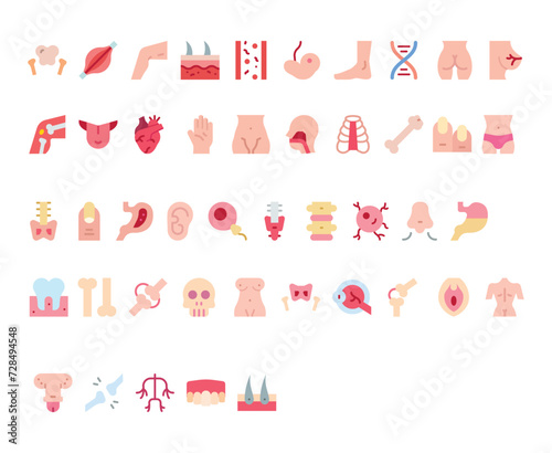 Anatomy illustrations pack