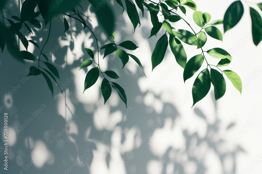 The shadow of palm leaves cast a serene overlay on the wall, creating a plant-inspired texture as light filtered through the window and danced across the surface. The shadow of palm leaves cast a serene overlay on the wall, creating a plant-inspired texture as light filtered through the window and danced across the surface.