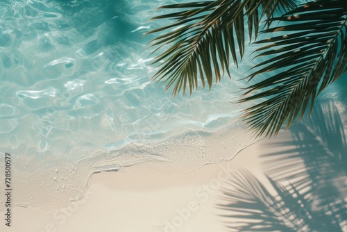 The top view of a tropical leaf's shadow on the water's surface creates a stunning abstract background for a summer beach vacation.