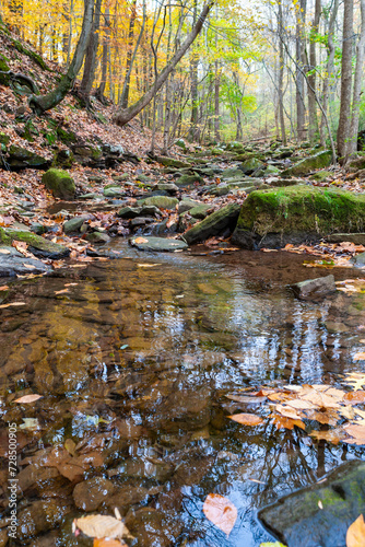 Fototapeta Naklejka Na Ścianę i Meble -  Reflections of Blue Sky and Fall Foliage in a water. Heritage Park. Allentown , NJ