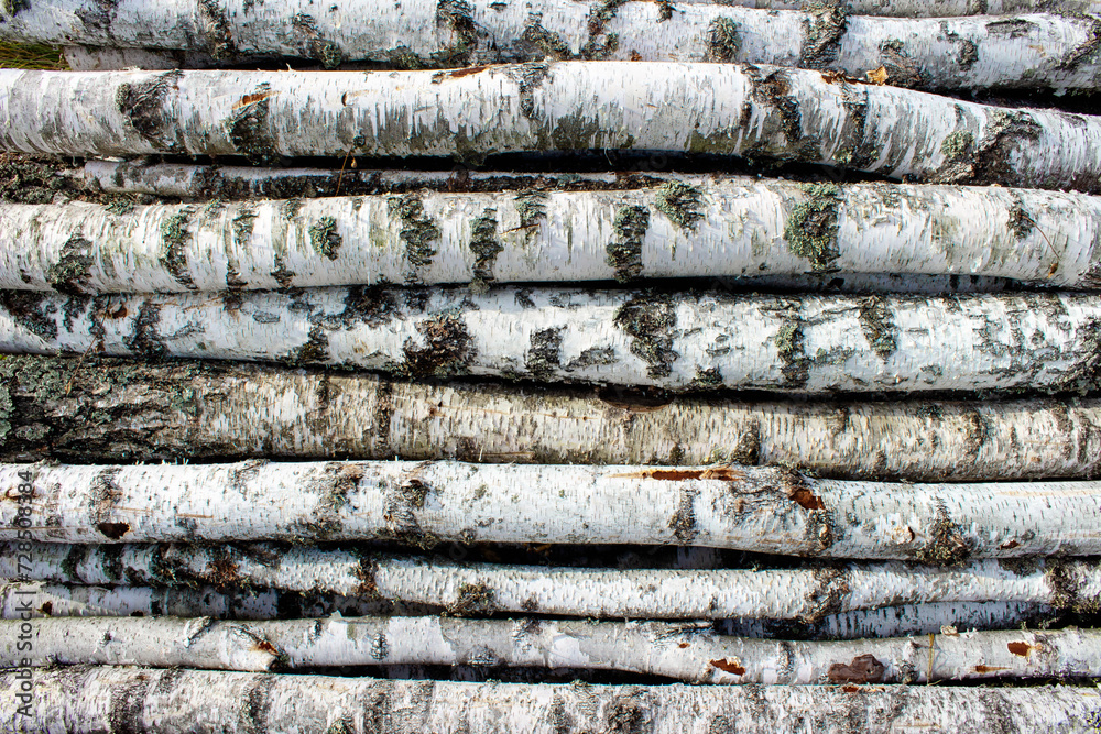 A background of birch logs lying horizontally. Chopped firewood stacked in a pile. Pile of logs for fireplace A background of birch logs lying horizontally. Chopped firewood stacked in a pile. Pile of logs for fireplace
