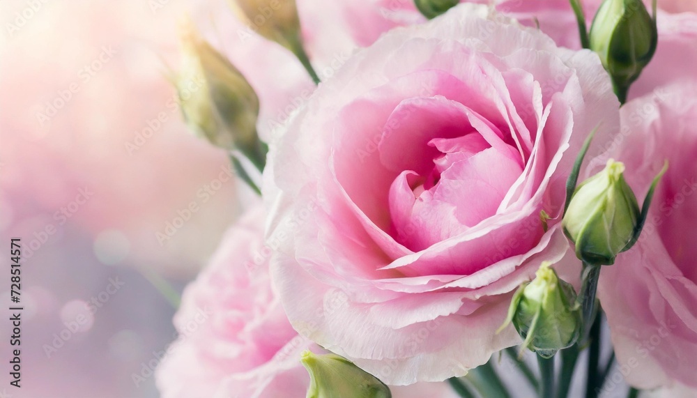banner for website with closeup view of pink eustoma flower soft pastel wedding background