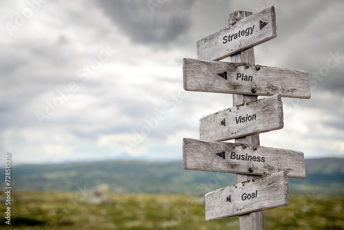strategy plan vision business goal five word quote on wooden signpost outdoors in nature.