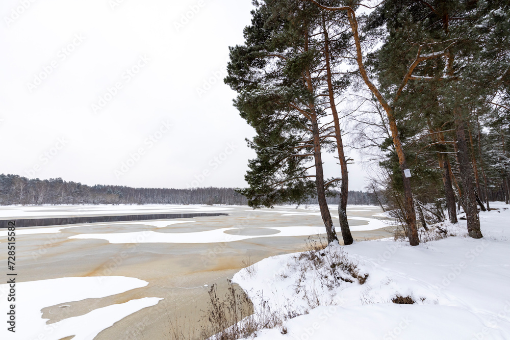 winter landscape, snow in the foreground, pine trees on the banks of a frozen river