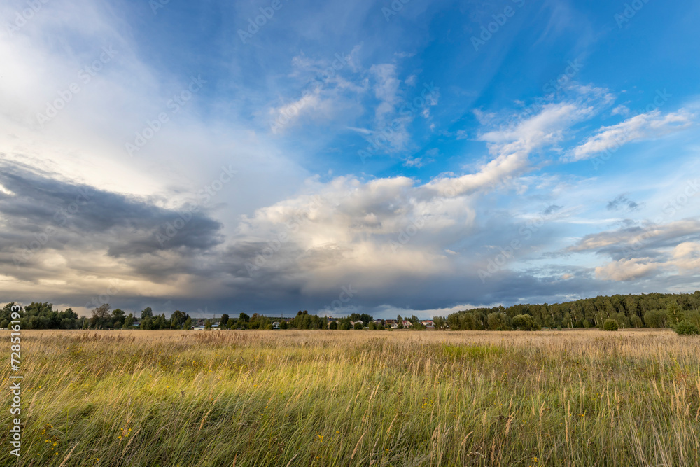 Wide shot of a field with meadow grasses, with thunderclouds overhead on a summer evening
