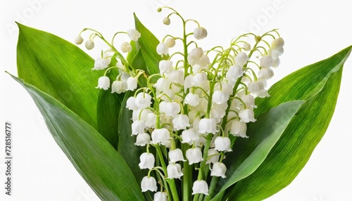 lily of the valley flowers in a small spring bouquet isolated on white or transparent background