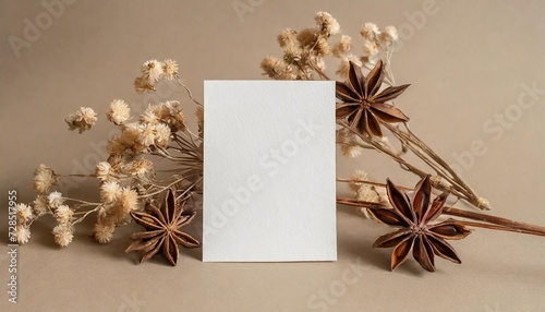 paper sheet card with blank mockup copy space and dried star flower buds on beige background