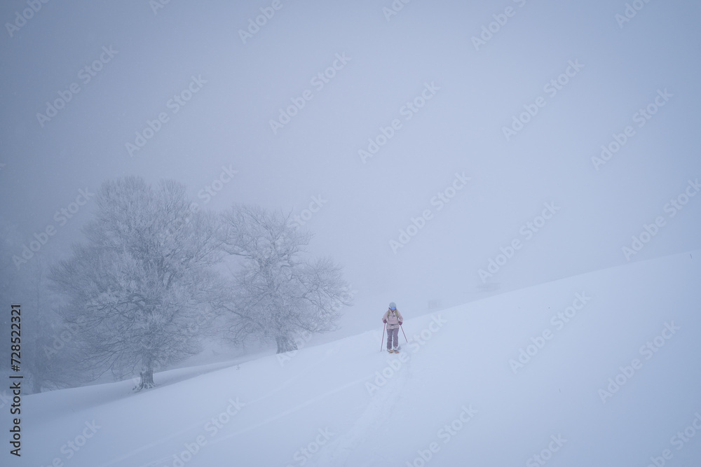 CIUCAS, ROMANIA - JANUARY 28, 2024: Drone photograph with ski touring skiers crossing through pine tree forest during heavy snowfall CIUCAS, ROMANIA - JANUARY 28, 2024: Drone photograph with ski touring skiers crossing through pine tree forest during heavy snowfall